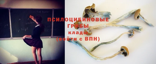 метадон Кодинск