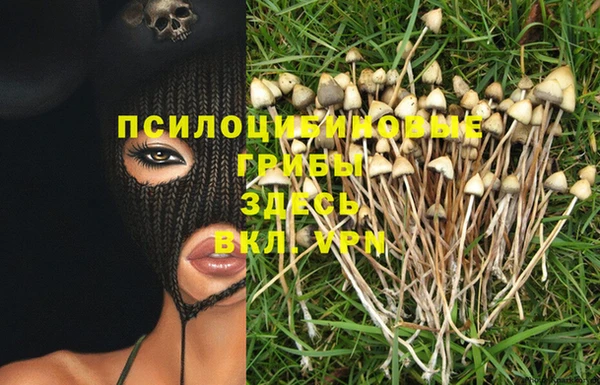 MDMA Premium VHQ Кедровый