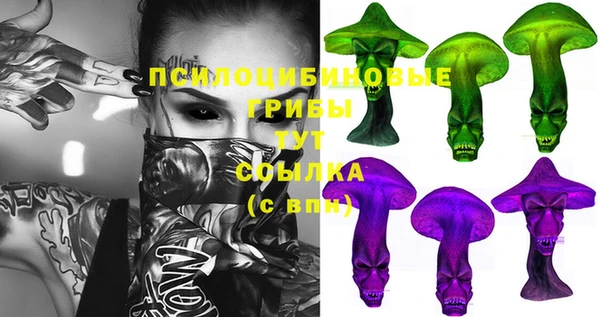 метадон Кодинск