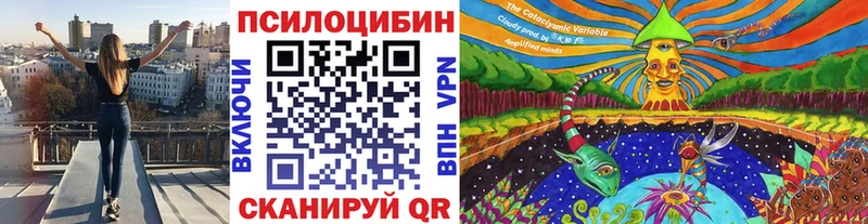 Галлюциногенные грибы Psilocybine cubensis  Павловская 